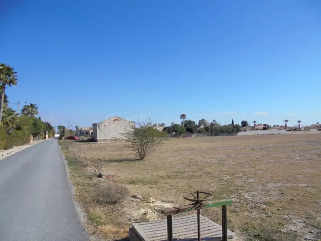 Exclusiva parcela edificable de 13.396 m2 en Catral — 5