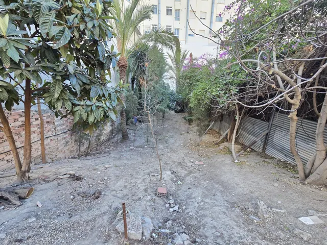 ++Venta en Molina de Segura zona Centro++ 409 m. de superfic - foto 4