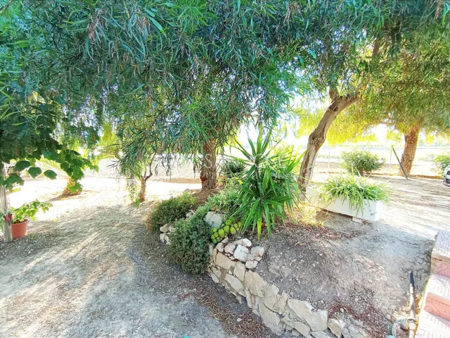 VENTA DE PARCELA ENTRE LA ROMANA Y ASPE — 4