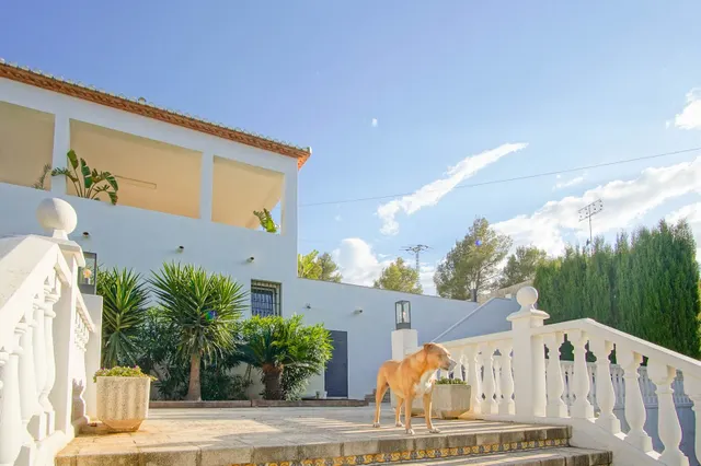 Villa 6 habitaciones 426m² en venta - Las rotas — 38