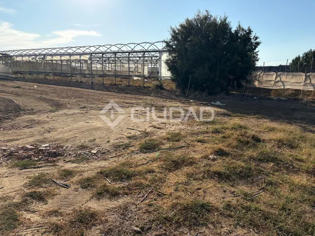 Terreno rural en venta - La Jara — 13