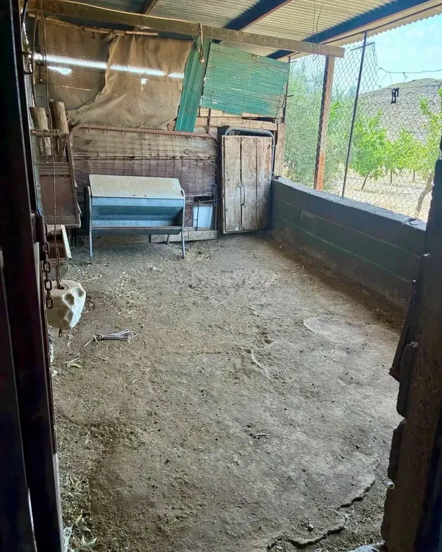Finca agrícola y ganadera de 25.000 m2 con pozo propio, placas solares y plantación en producción en Gérgal — 25