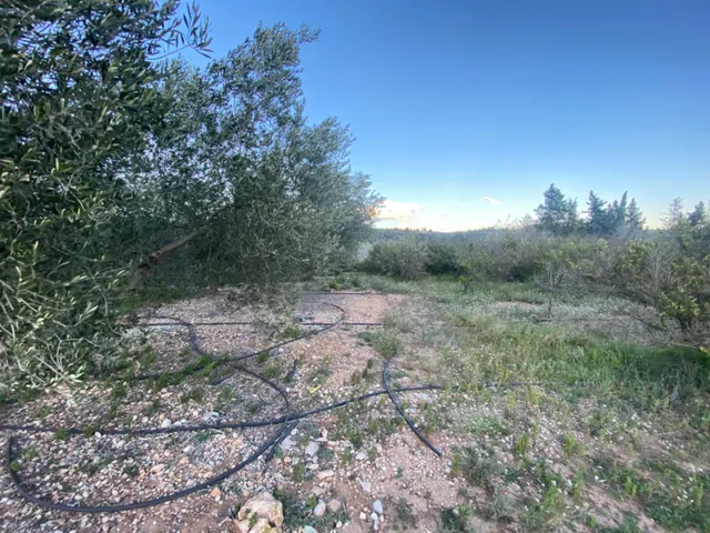 Encantador terreno con agua y luz de 1,2 ha — 12