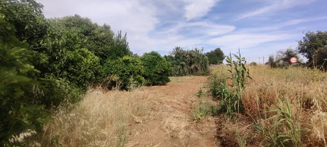 TERRENO URBANIZABLE SECTORIZADO EN ALMENSILLA — 6