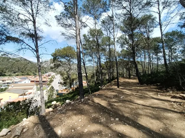 ¡¡Gran ocasión!! Parcela soleada con vistas — 5