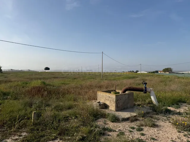 ¡Gran oportunidad! Terreno de regadío en Torre Pacheco - foto 5