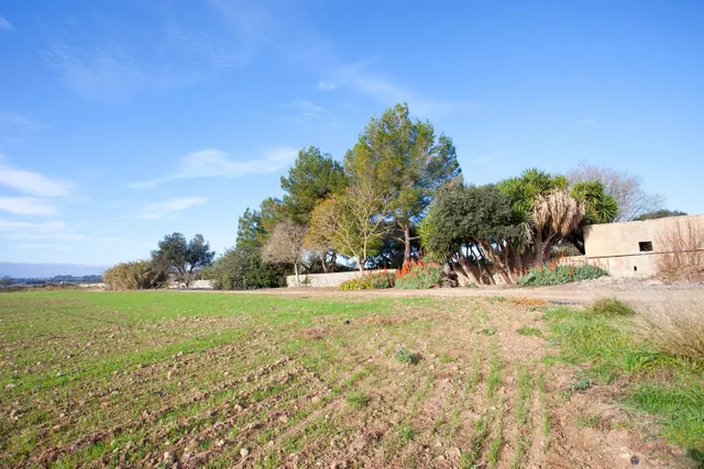 Payesia con piscina y jardín en Ariany. — 17