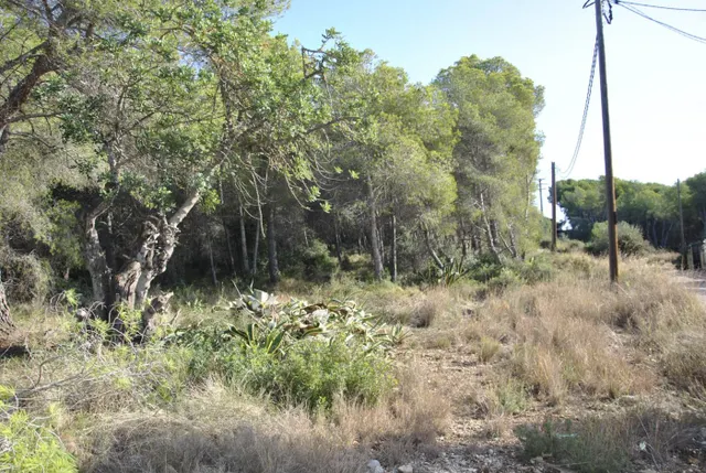 Parcela Rústica en el municipio de Cubelles, 5.560 mts2 Corral d'en Cona — 21