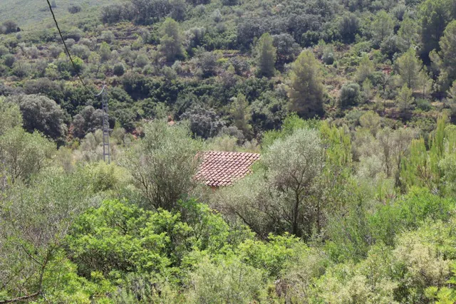 MASIA RUSTICA EN DOS HECTAREAS DE TERRENO ZONA POU DE BECA — 41