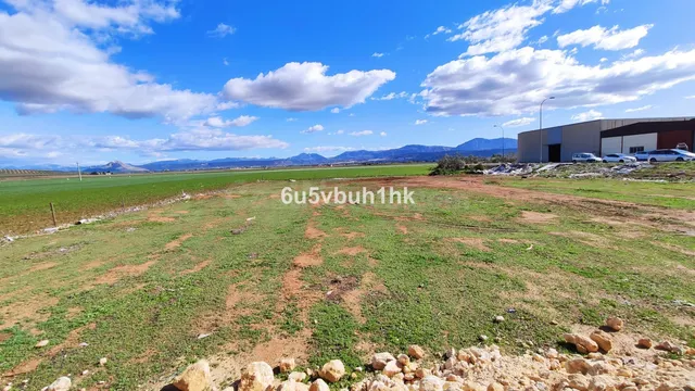 Parcela en venta - Andalucia - foto 5