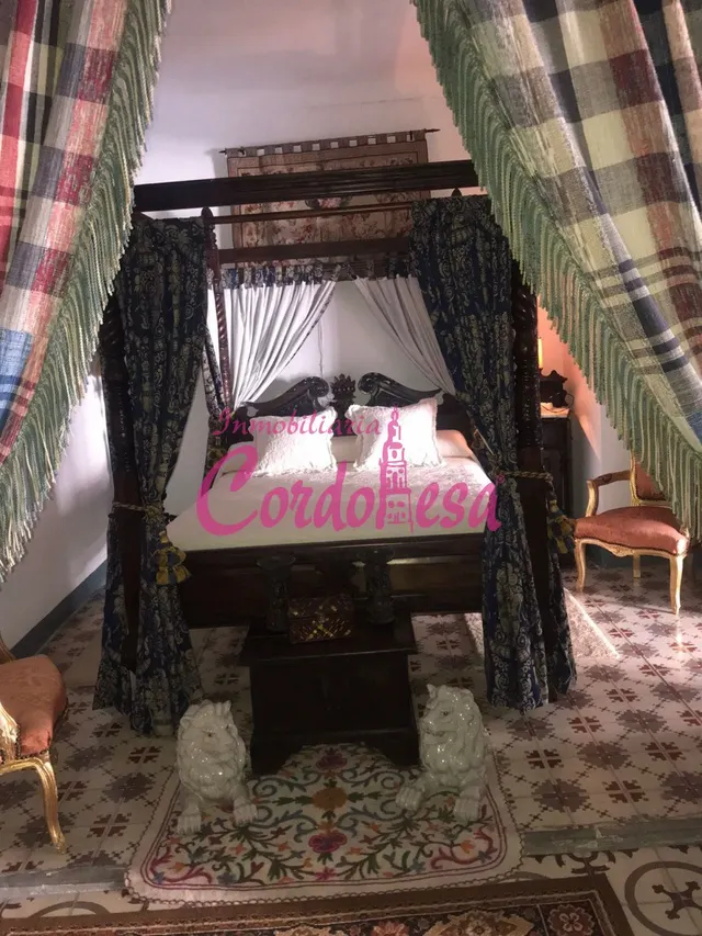 MAGNIFICA CASA SEÑORIAL EN VILLAVICIOSA DE CORDOBA — 17