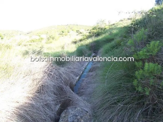 Terreno rural 8000m² en venta - La Raiosa — 13