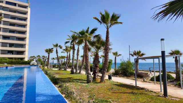 Apartamento 2 habitaciones 120m² en venta - Punta Prima — 40