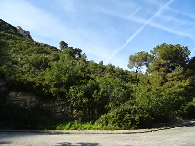 MUY BUENAS VISTAS AL MAR. 1 ó 2 PARCELAS. OPORTUNIDAD — 8
