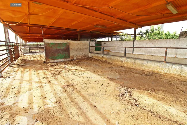 FINCA RÚSTICA EN CAMPANILLAS — 19