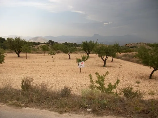 Parcela de 10.000 metros rural — 8