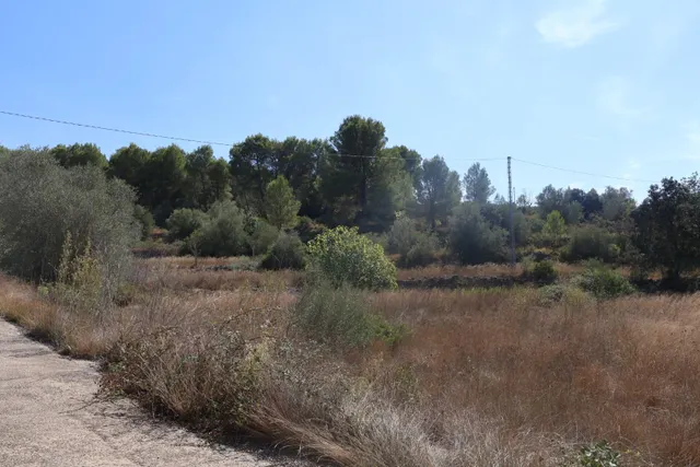 MASIA VALLADA CON PISCINA, ZONA PARA CABALLOS Y MAS DE 2 HECTAREAS DE TERRENO — 49