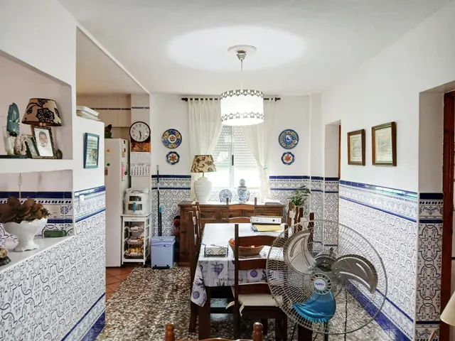 FINCA CON VIVIENDA EN BONARES (HUELVA) — 10