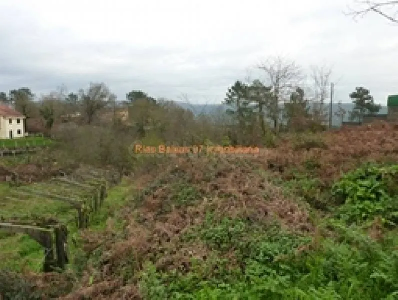 REF 1814 SOLAR 1100 m2 ZONA ALTA  MOS