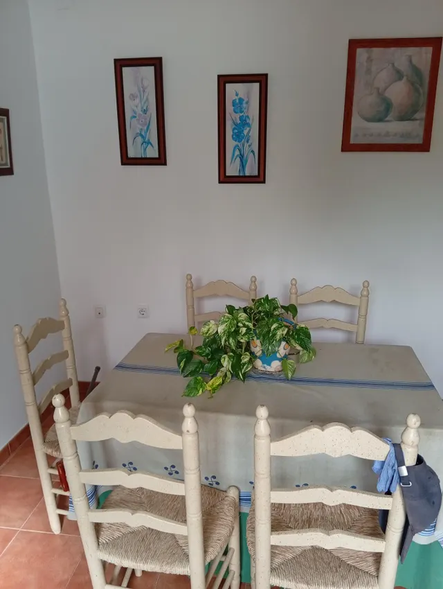 ¡Gran oportunidad en La Villa! Solar urbano de 1600 m2 en Ayamonte — 18