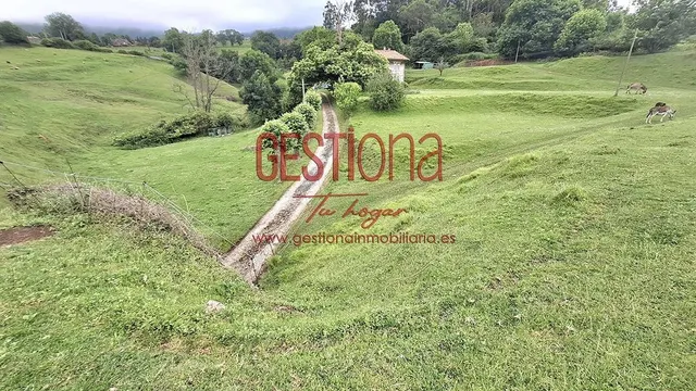 MAJESTUOSA CASA CON AMPLIA PARCELA. LIAÑO — 19