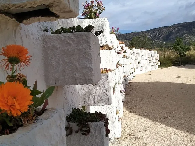 Magnifica casa geodésica — 12
