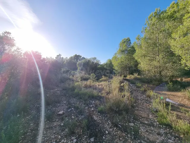 Terreno Rústico de 28.454m2 en Venta en L’Ametlla de Mar - foto 4