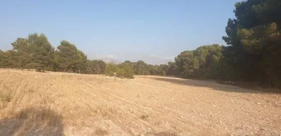 FINCA RUSTICA EN VENTA EN CASTALLA ALICANTE — 6