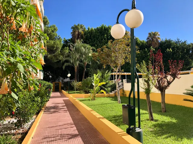 Vive Playa de Gandía como siempre has querido — 30