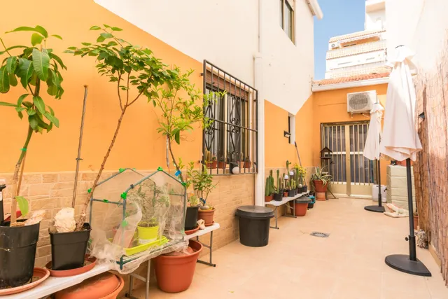 Casa de Pueblo en el Centro de torrevieja — 11