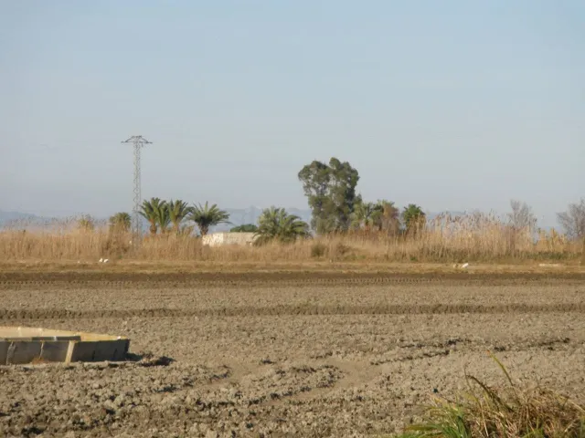 TIERRA DE ARROZ EN VENTA