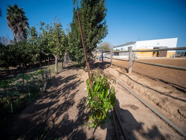 FINCA RÚSTICA CON ARBOLES FRUTALES Y CUADRA DE CABALLOS — 13