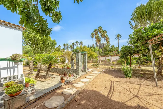 Casa con encanto en tafira, amplia parcela y construcciones auxiliares — 15