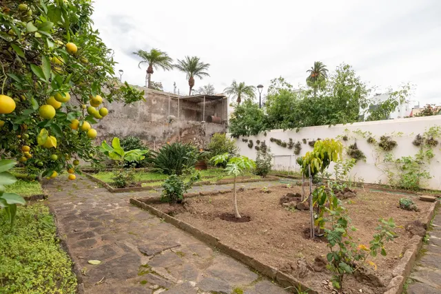 CASONA EN LA OROTAVA — 13
