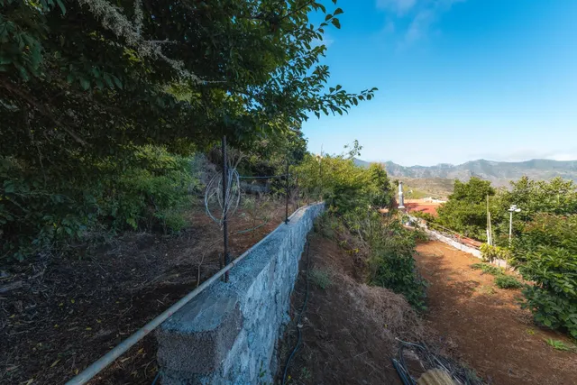 Finca rústica con casa terrera y vistas al mar en tierra del trigo, los silos — 36