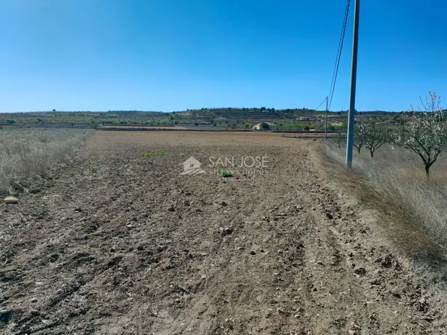 SE VENDE PARCELA EN BARBARROJA CERCA DEL PUEBLO — 5