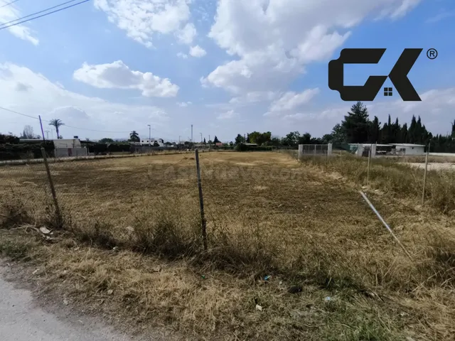 Gran parcela de regadío en La Arboleja (Molina de Segura) -  - foto 2