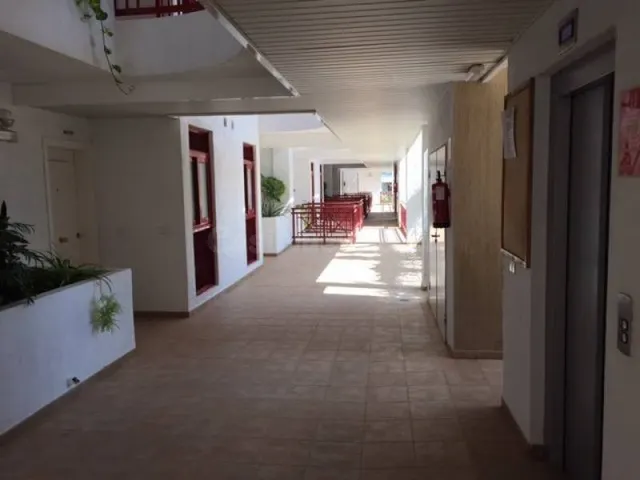 Piso pal-mar 70 m2 incluido terraza - foto 3