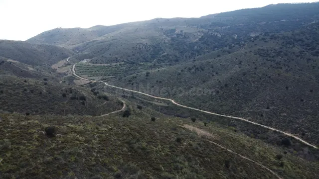 COTO DE CAZA - foto 4