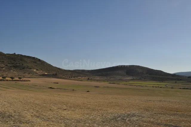 Parcela 2000m² en venta - Torre del rico - foto 3