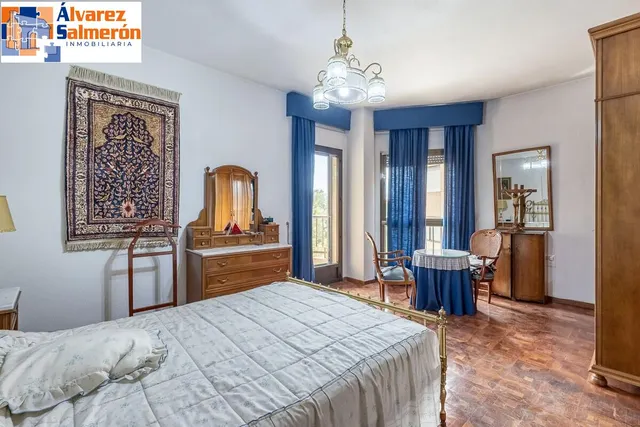 Pisazo en paseo del salón - Granada — 16