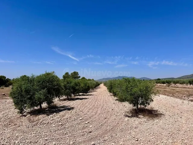 Parcela en venta - Comunidad valenciana - foto 5