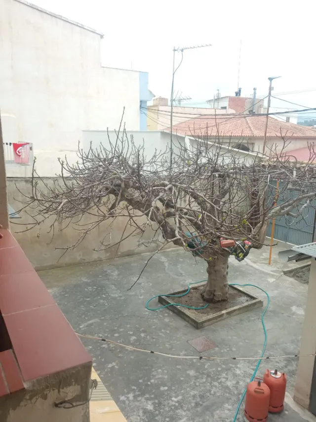 casa amplia de dos plantas con patio en Cehegín — 38