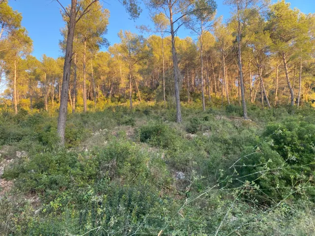 Fantastico terreno en Vallirana - En el sector el pinar, parte alta. — 13