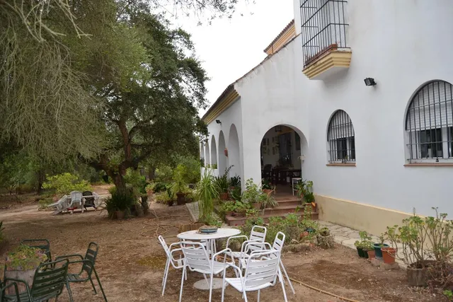 FINCA DE RECREO CON 14 HECTAREAS EN ARCOS DE LA FRONTERA — 8