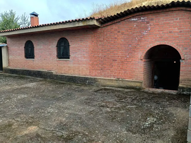 FINCA RUSTICA CON BODEGA - foto 2