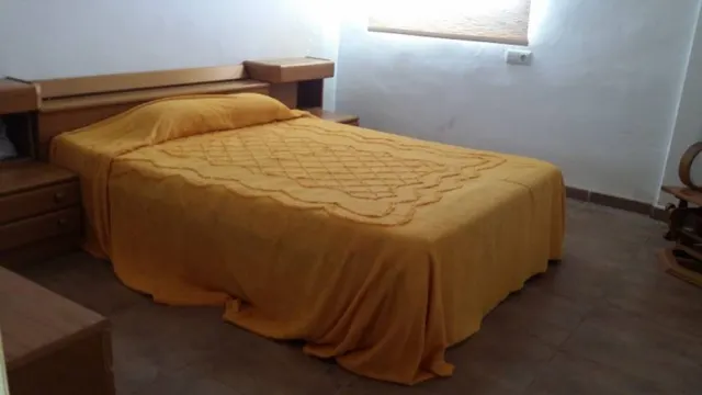 CAMPO DE NARANJOS CON CHALET — 11