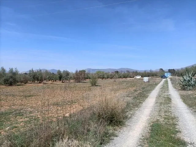 Finca rústica en venta — 4