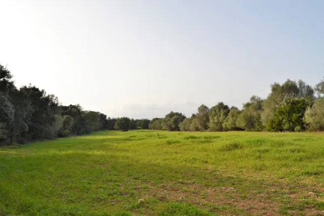 Finca en suelo rústico general, en venta en Muro con increíb - foto 4