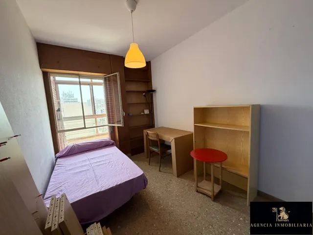 Oportunidad única en Murcia — 15